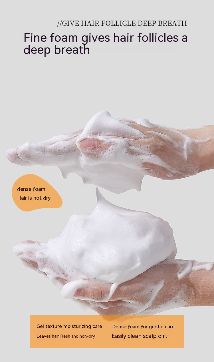 Fashion Simple Anti-hair Care Shampoo